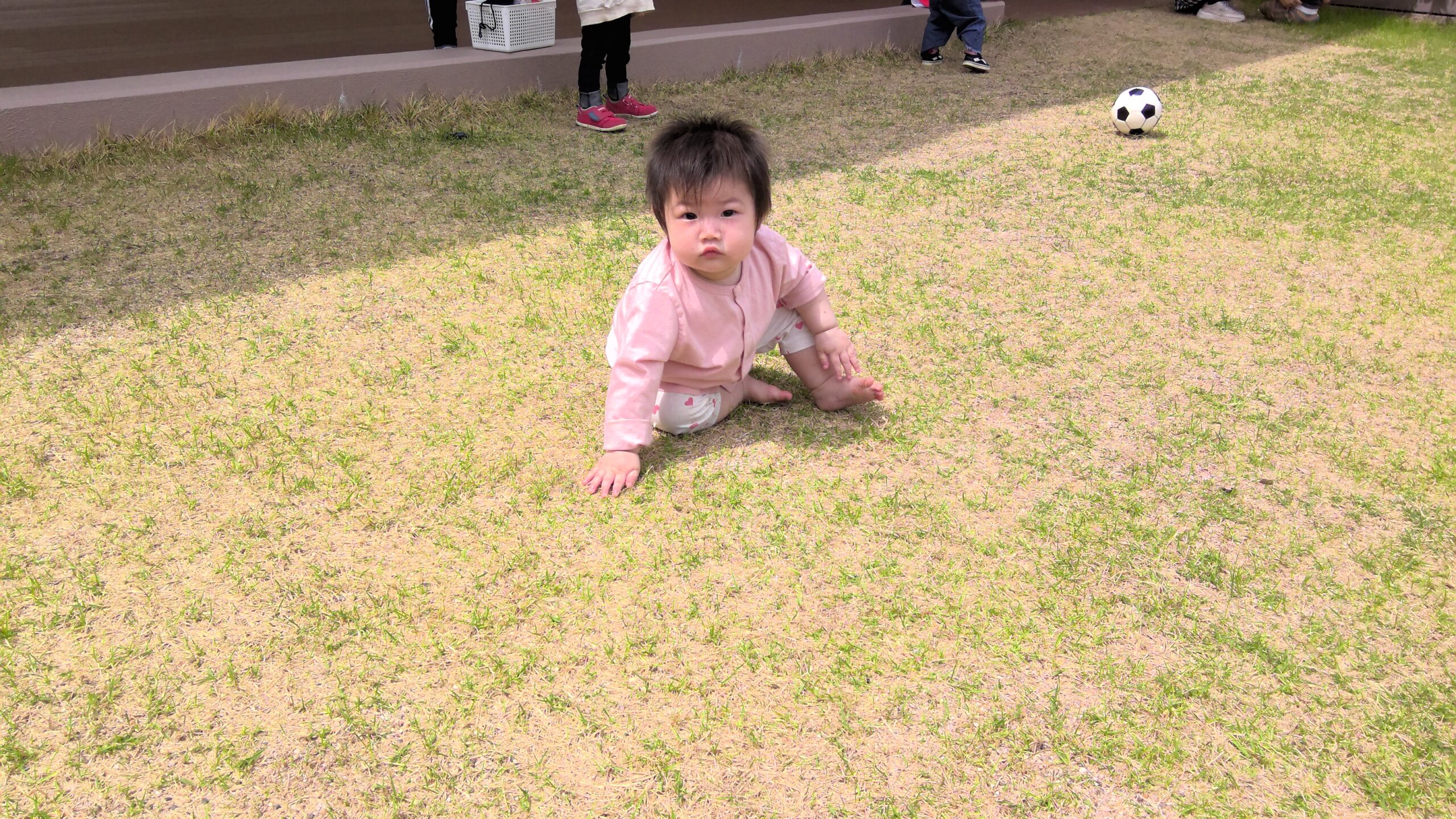 健康観察